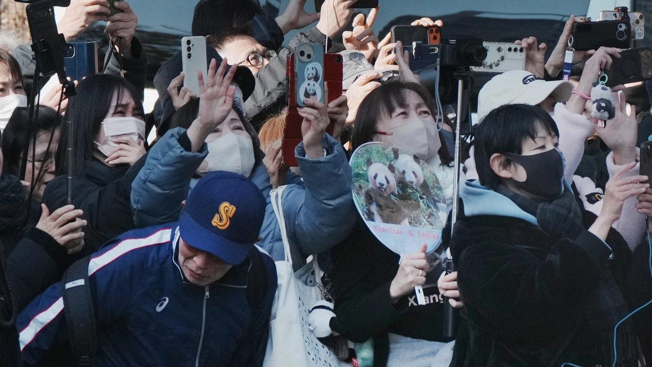 แพนด้าคู่สุดท้ายอำลาญี่ปุ่น