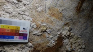 ตะลึง พบภาพเขียนสีผนังถ้ำ