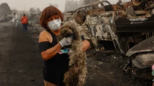 ตำรวจชิลีจับผู้ต้องสงสัยวางเพลิง