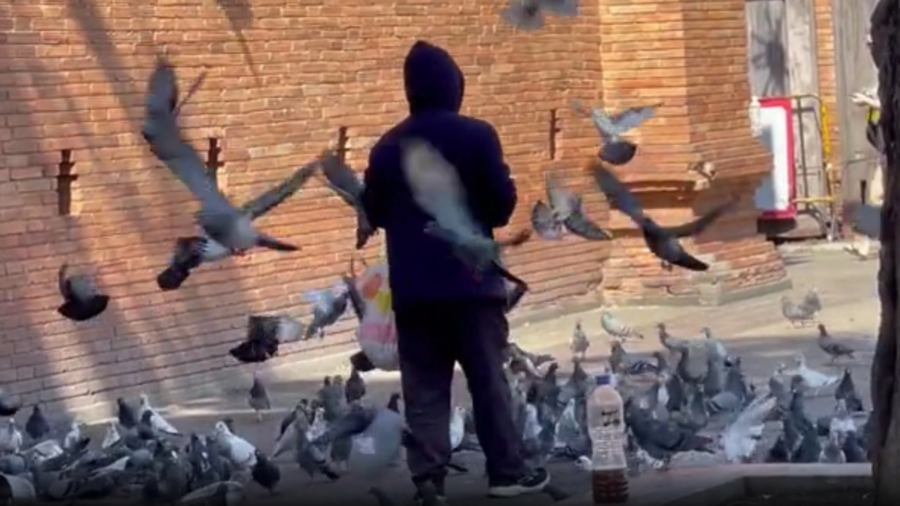 ยิงจับยิ่งขาย แก๊งขายอาหาร